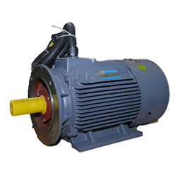 YD、YDT系列變極多速電動(dòng)機(jī)